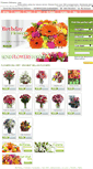 Mobile Screenshot of flowersdelivery.org